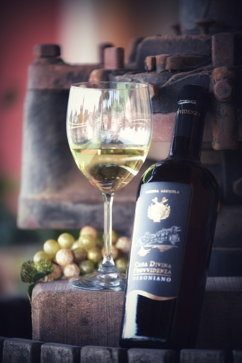 02 Nettuno Wine Festival