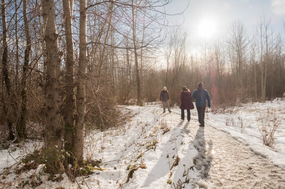 Family Enjoying Sunny Winter Walk in Snowy Wilderness Park