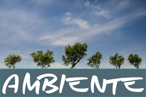 AMBIENTE_BANNER