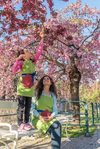 Grembiule_Merano_Flowers_Festival