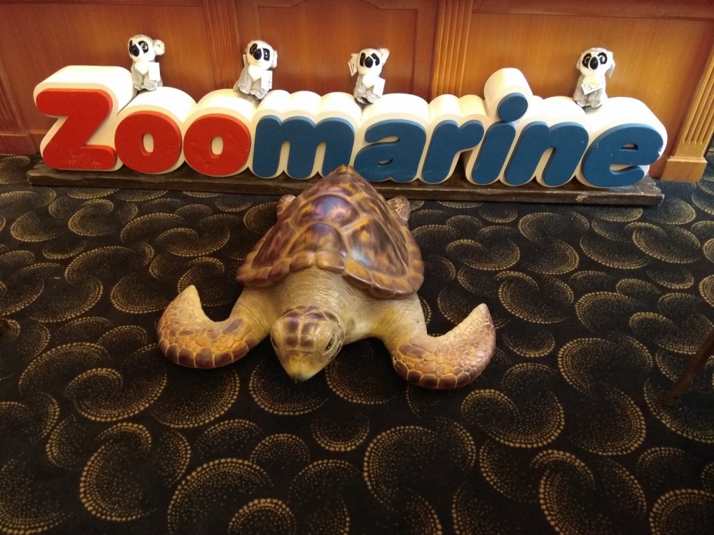 Tartaruga conferenza