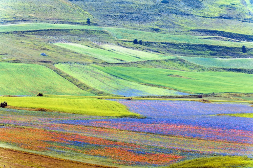 Castelluccio di Norcia (Italy), Village on a green hill