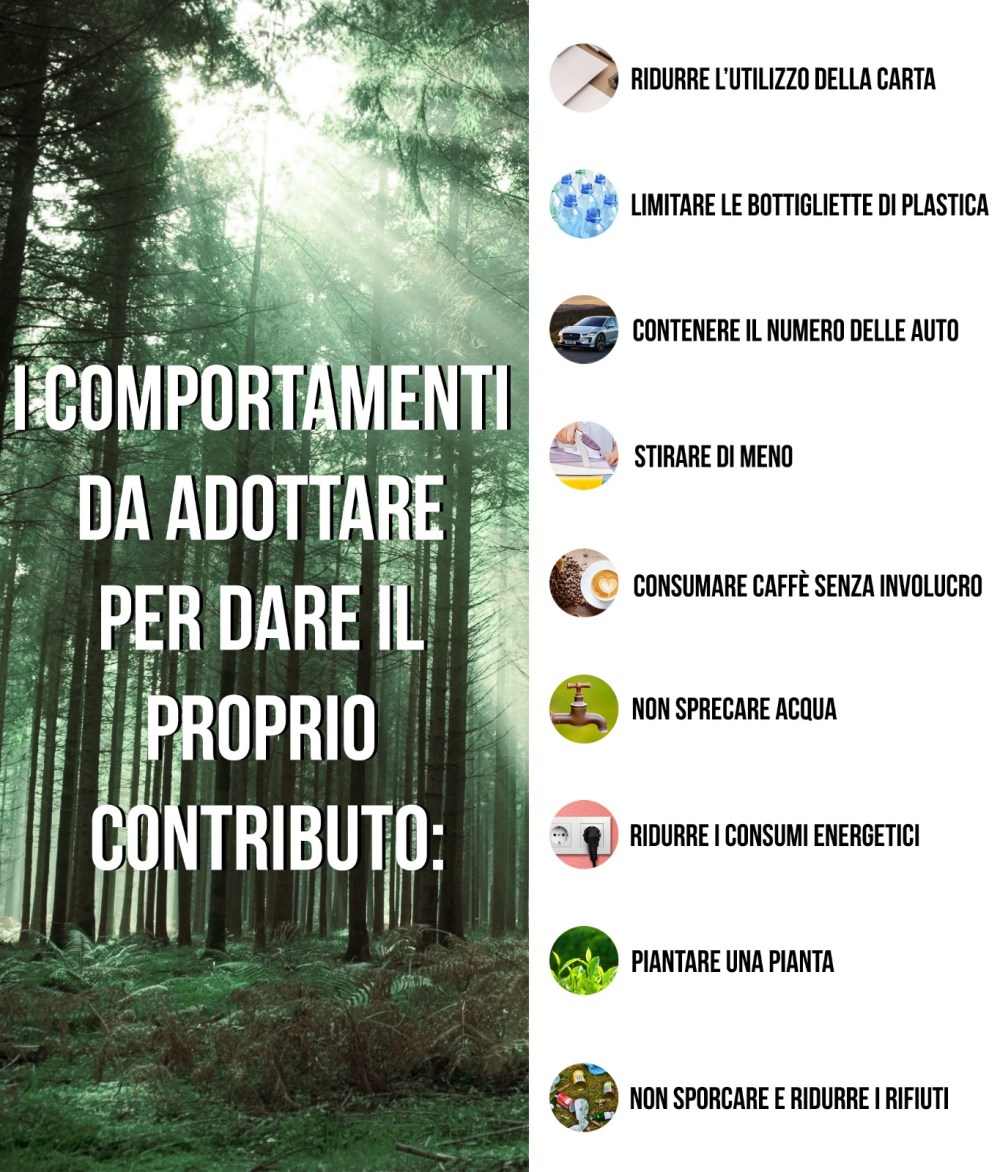 Road to green 2020 - Come salvare l'Amazzonia