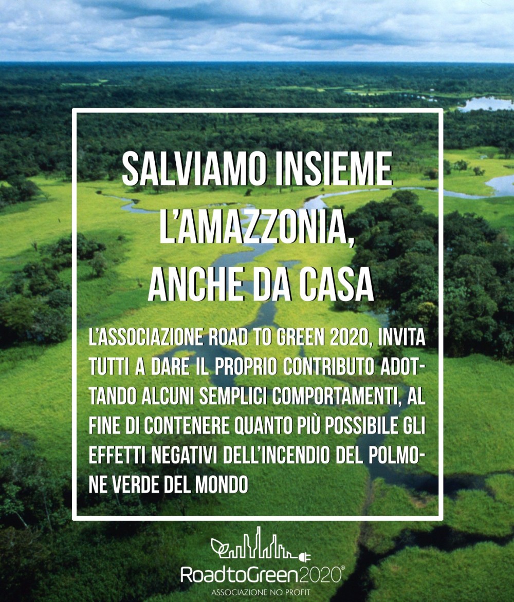 Road to green 2020 - Salviamo l'Amazzonia
