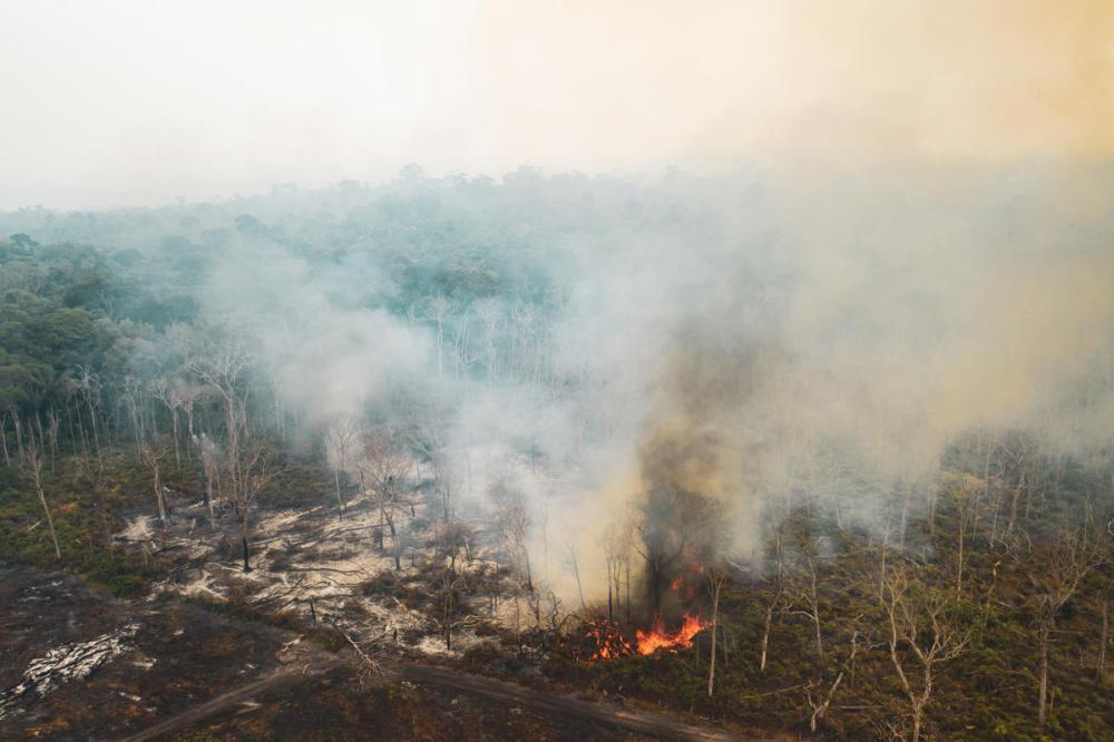 Forest Fires in the Amazon, Rondônia state, Brazil, (2019)
Queimadas na Amazônia, 2019. Estado de Rondônia - Brasil
