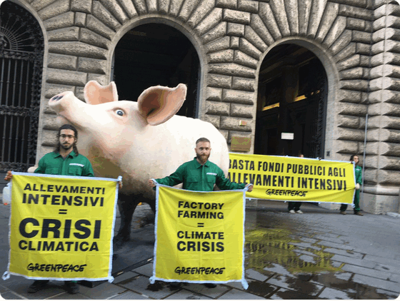 C_2_fotogallery_3102404_0_image