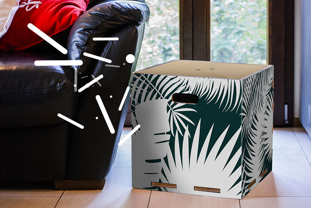 Jungle-ambientata-1-icone