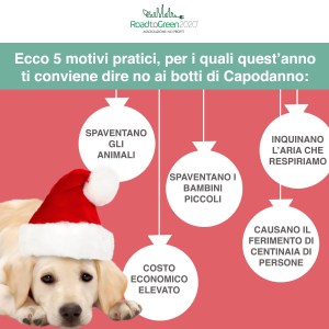 Road to green 2020 - 5 motivi per dire no ai botti di Capodanno