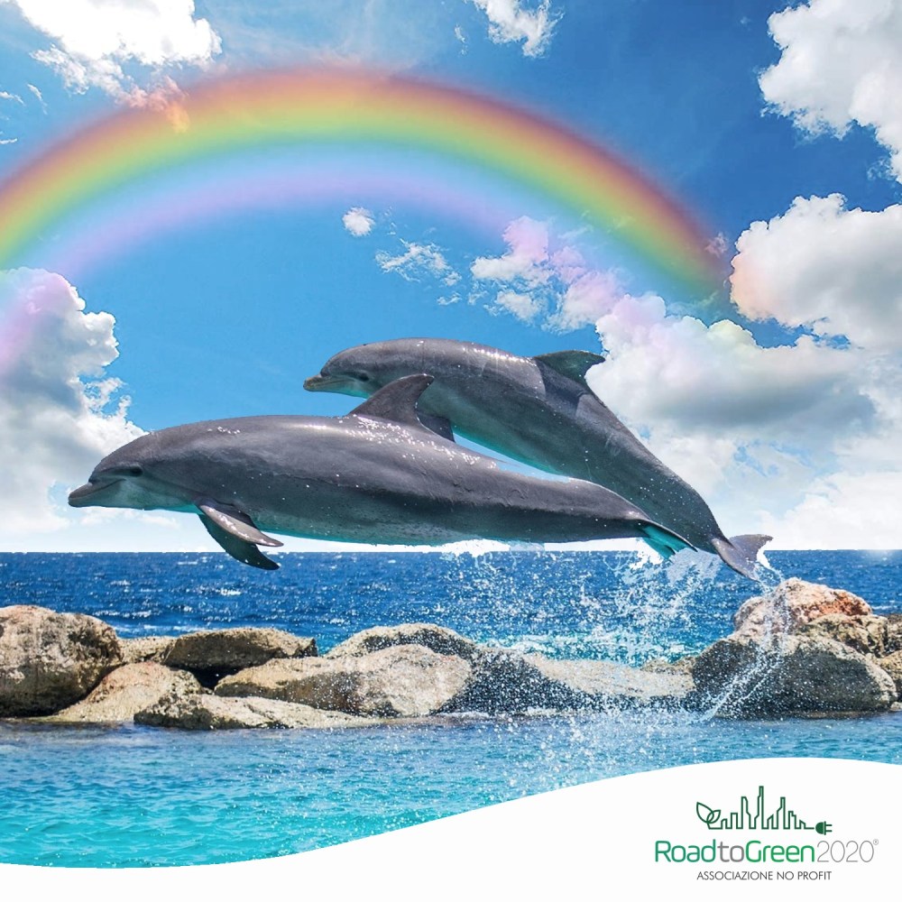 Road to green 2020 - quarantena